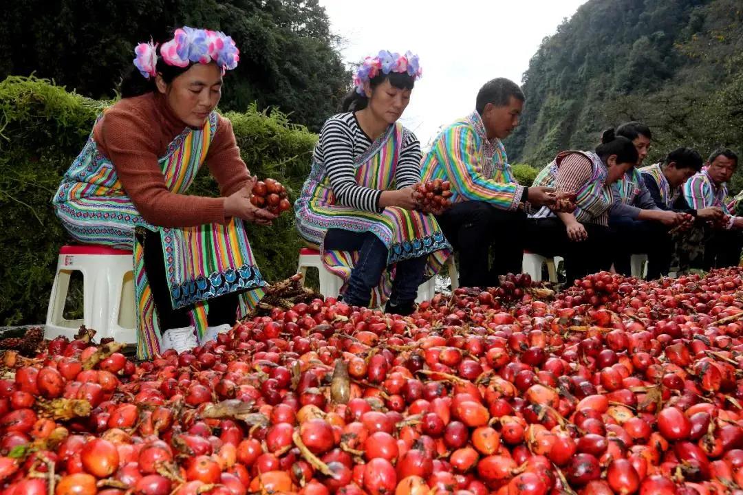 怒江美丽公路