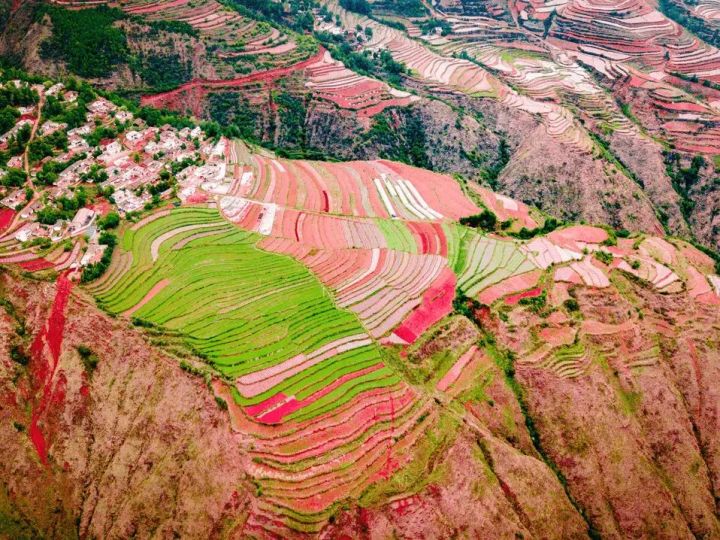 研学旅行实践活动需在规范化的道路上才能长远发展