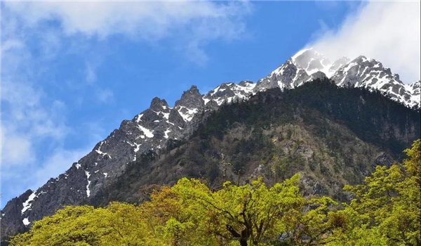 碧罗雪山