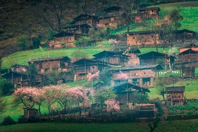 雾里村