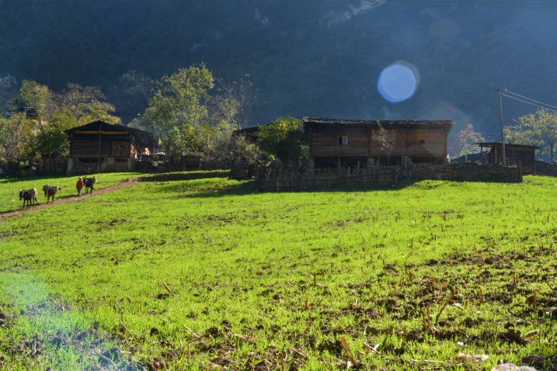 雾里村