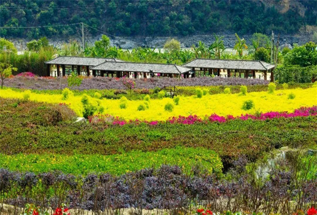 怒江定制旅游：探寻泸水秘境