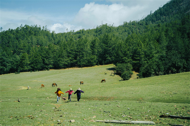 云南旅游,云南旅行社,云南团建公司,云南策划公司,云南会议会展,云南旅游地接,怒江旅游,怒江旅行社,怒江团建公司,怒江策划公司：“被罗古箐的山野拥抱、涤净，再神清气爽地回去”