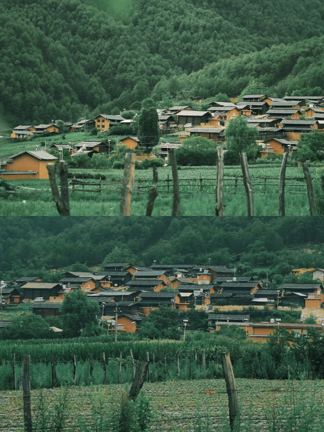 云南旅游,云南旅行社,云南团建公司,云南策划公司,云南会议会展,云南旅游地接,怒江旅游,怒江旅行社,怒江团建公司,怒江策划公司：云南超冷门徒步秘境——怒江罗古箐