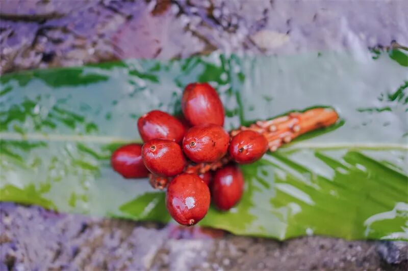 云南旅游,云南旅行社,云南团建公司,云南策划公司,云南会议会展,怒江旅游,怒江旅行社,怒江团建公司,怒江策划公司,怒江会议会展：跟着怒江微综艺去吃席——草果宴！