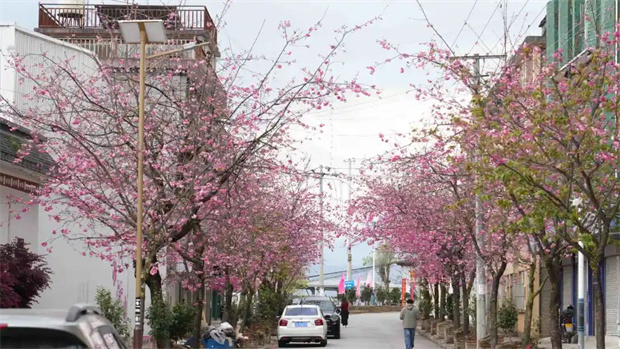 怒江旅游：来鲁掌，樱咖CP嗑定了