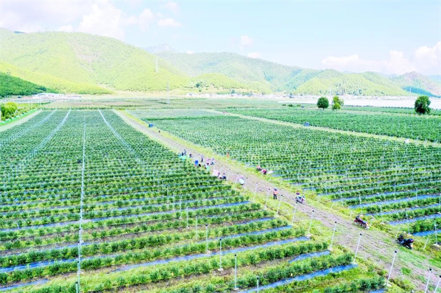 怒江旅游：奋进五载 兰坪蝶变